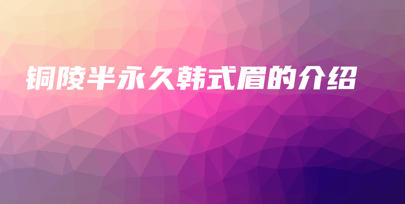 铜陵半永久韩式眉的介绍插图