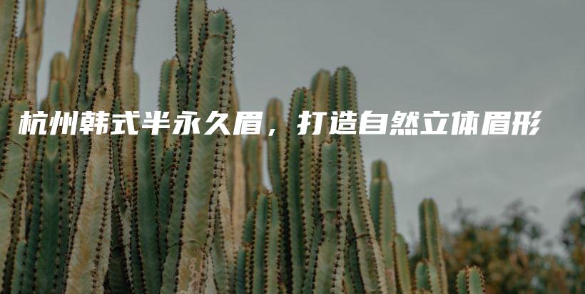 杭州韩式半永久眉，打造自然立体眉形插图