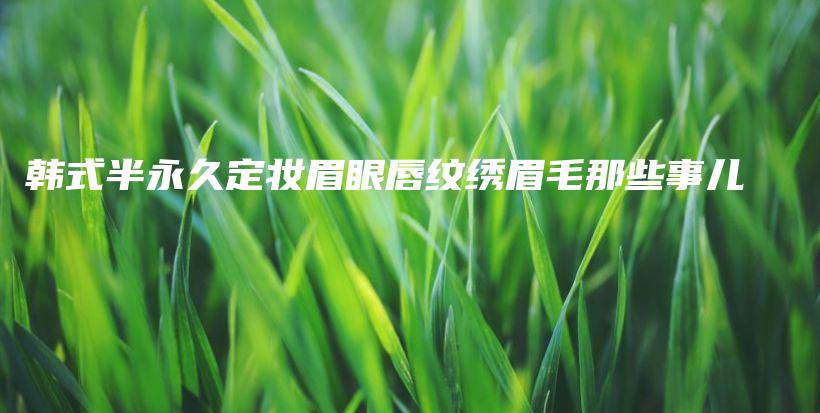 韩式半永久定妆眉眼唇纹绣眉毛那些事儿插图