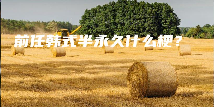 前任韩式半永久什么梗？插图