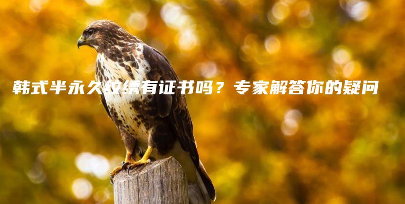 韩式半永久纹绣有证书吗？专家解答你的疑问插图