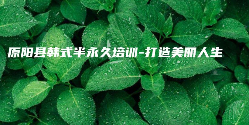 原阳县韩式半永久培训-打造美丽人生插图