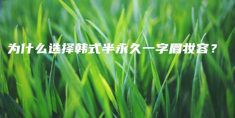 为什么选择韩式半永久一字眉妆容？插图