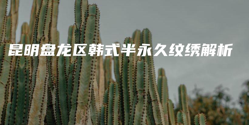 昆明盘龙区韩式半永久纹绣解析插图