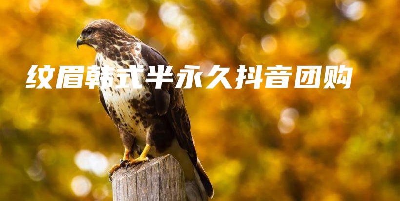 纹眉韩式半永久抖音团购插图