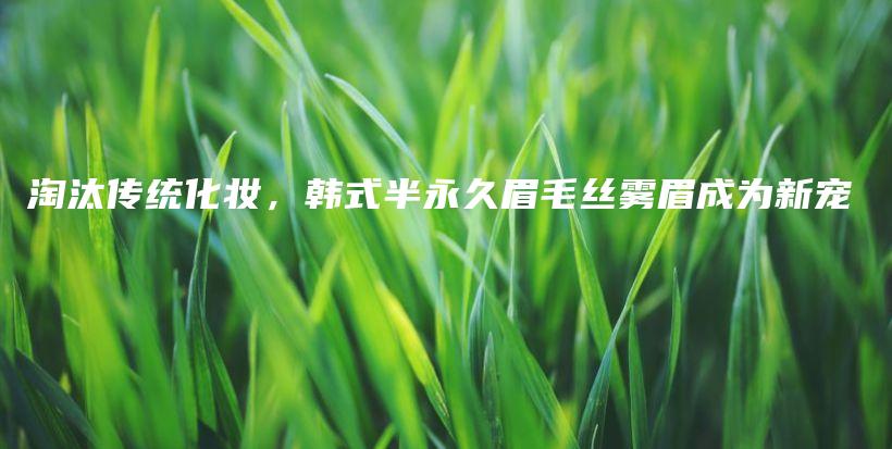 淘汰传统化妆，韩式半永久眉毛丝雾眉成为新宠插图