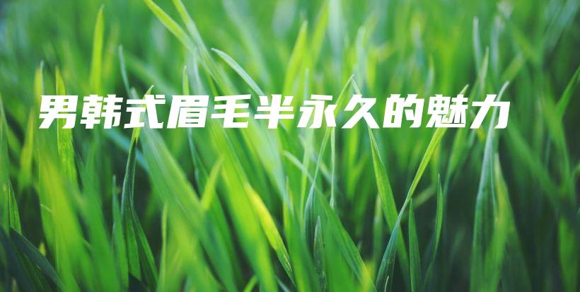 男韩式眉毛半永久的魅力插图