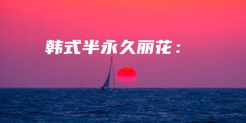 韩式半永久丽花：插图