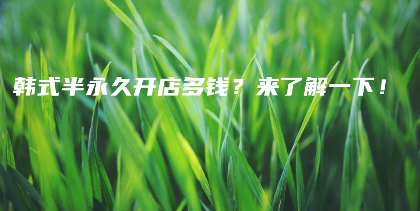 韩式半永久开店多钱？来了解一下！插图