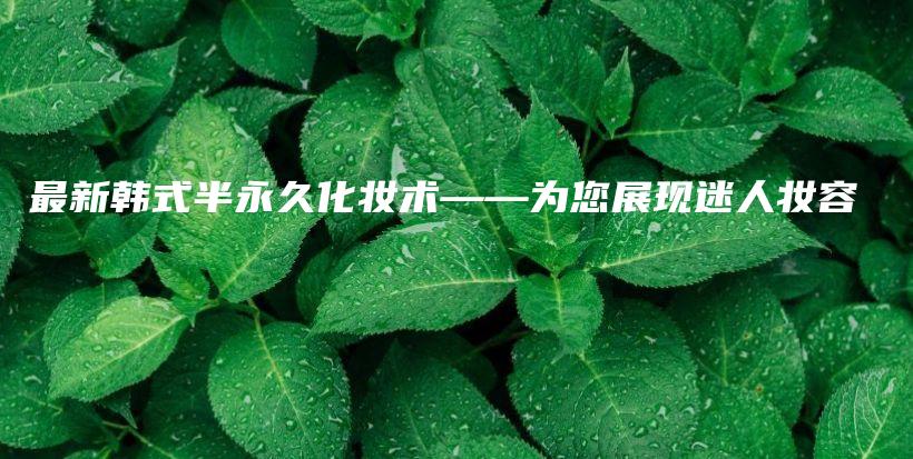 最新韩式半永久化妆术——为您展现迷人妆容插图