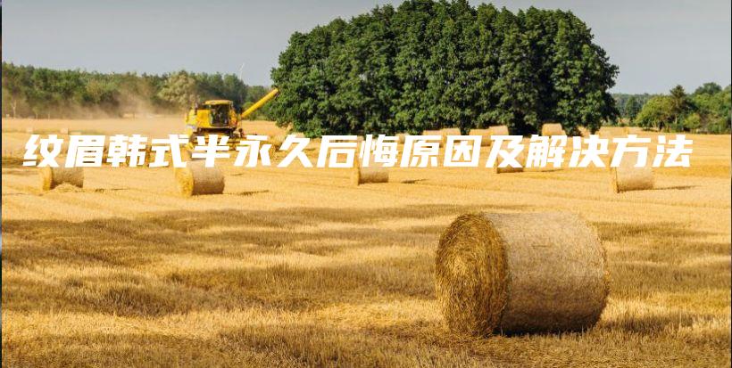 纹眉韩式半永久后悔原因及解决方法插图