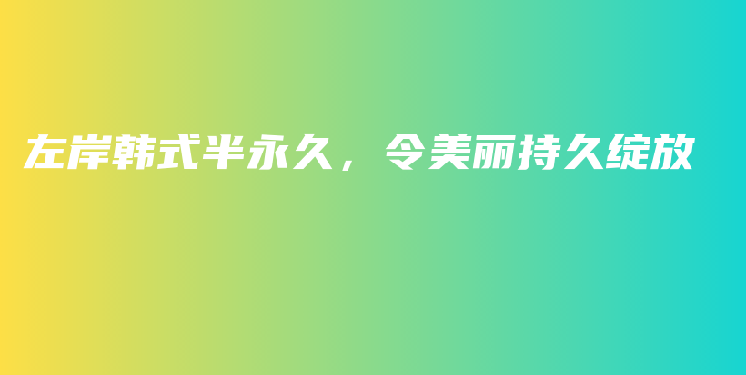 左岸韩式半永久，令美丽持久绽放插图