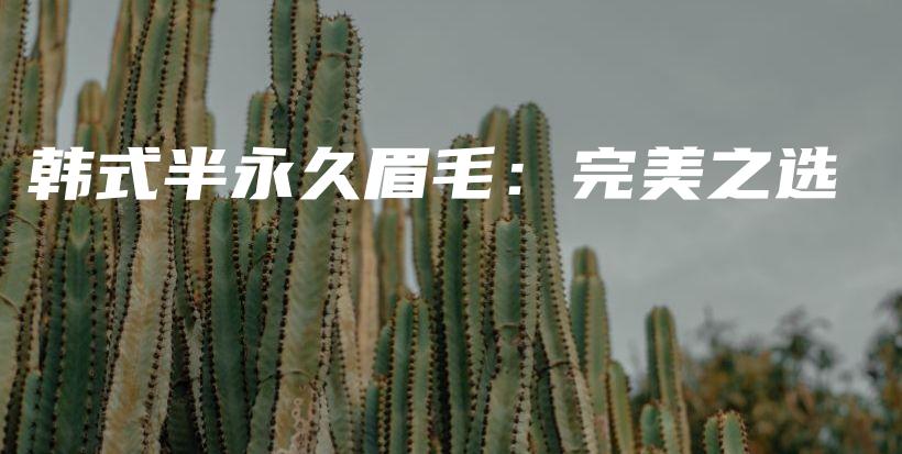韩式半永久眉毛：完美之选插图