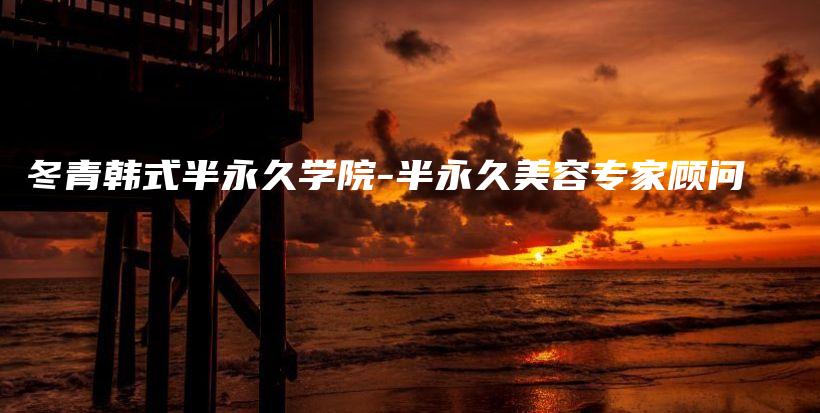 冬青韩式半永久学院-半永久美容专家顾问插图