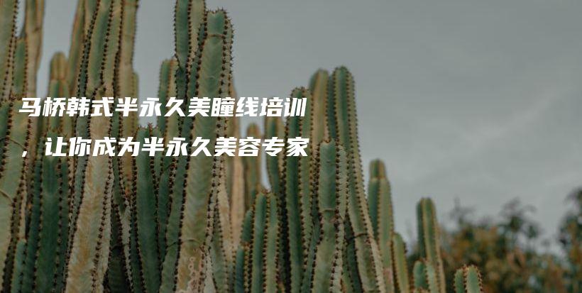 马桥韩式半永久美瞳线培训，让你成为半永久美容专家插图