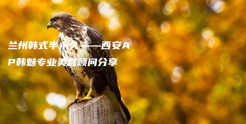 兰州韩式半永久——西安AP韩魅专业美容顾问分享插图