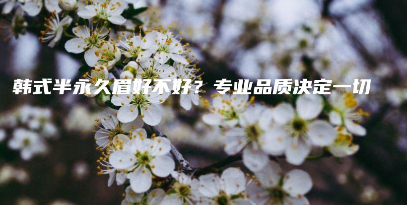 韩式半永久眉好不好？专业品质决定一切插图