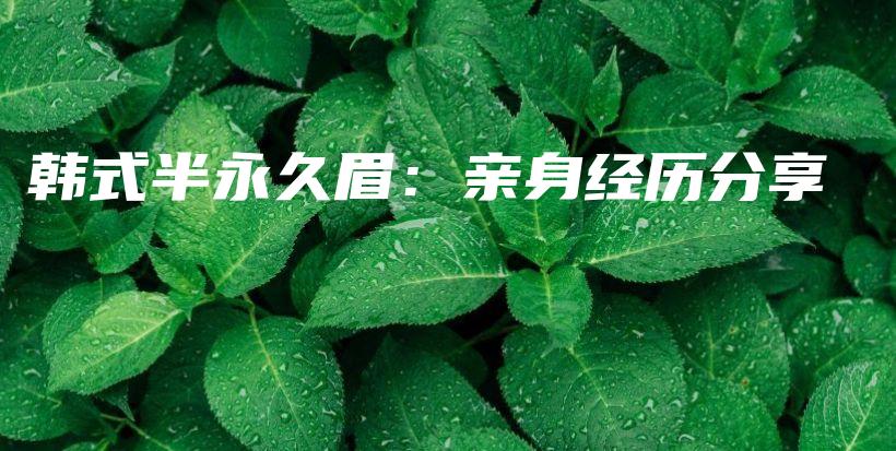 韩式半永久眉：亲身经历分享插图
