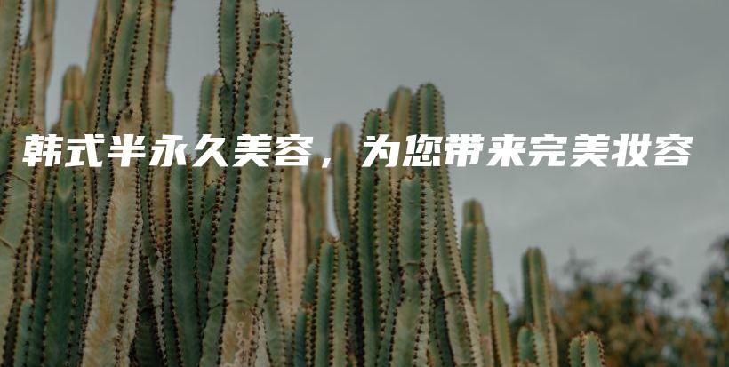 韩式半永久美容，为您带来完美妆容插图