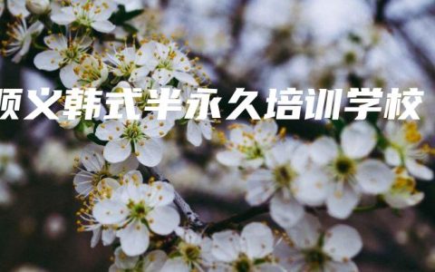 顺义韩式半永久培训学校