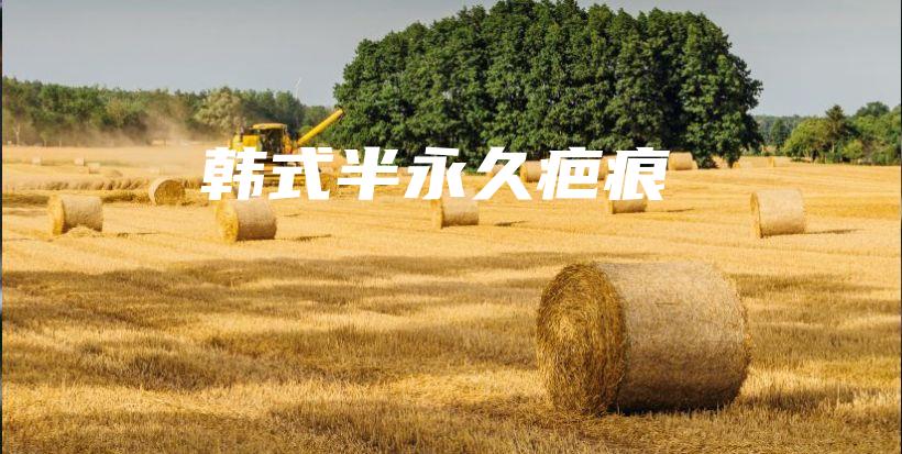 韩式半永久疤痕插图