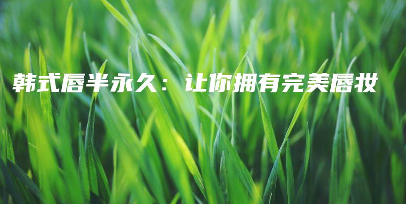 韩式唇半永久：让你拥有完美唇妆插图