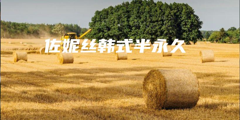 佐妮丝韩式半永久插图