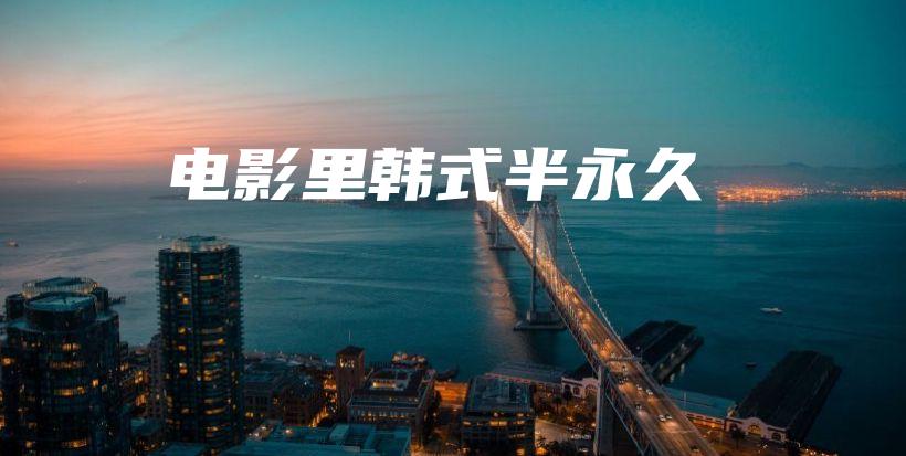 电影里韩式半永久插图
