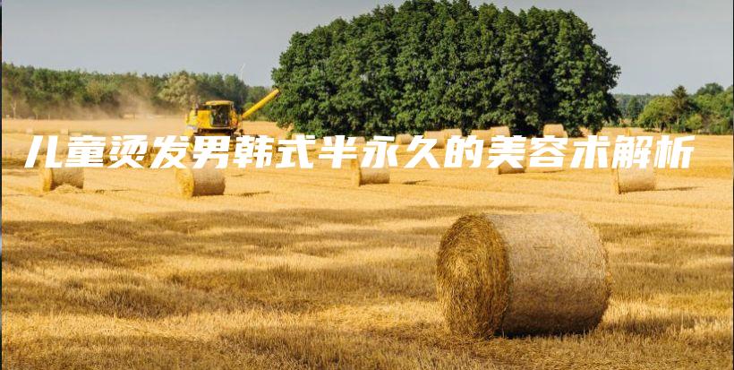 儿童烫发男韩式半永久的美容术解析插图
