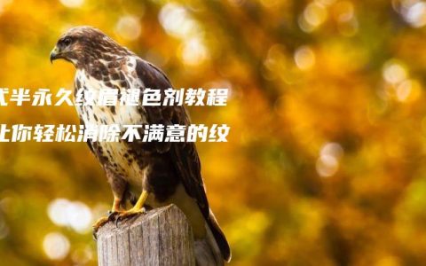 韩式半永久纹眉褪色剂教程：让你轻松消除不满意的纹眉