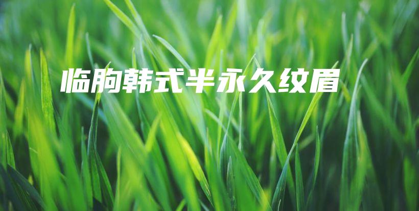 临朐韩式半永久纹眉插图