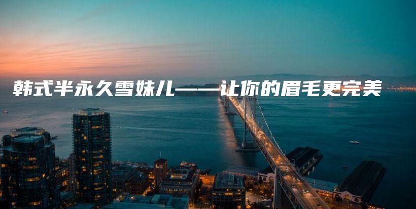 韩式半永久雪妹儿——让你的眉毛更完美插图