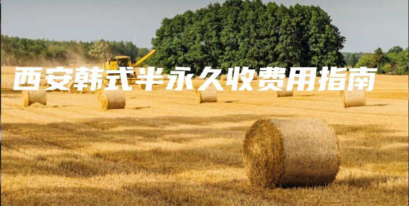 西安韩式半永久收费用指南插图