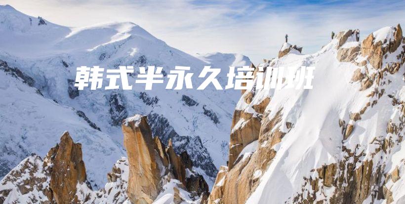 韩式半永久培训班插图
