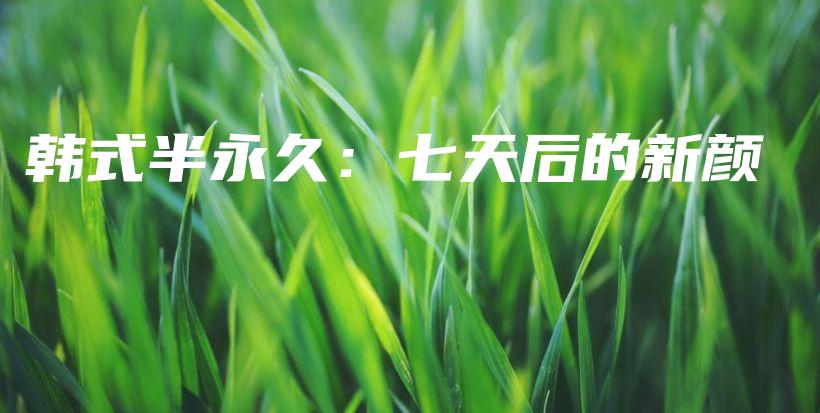 韩式半永久：七天后的新颜插图