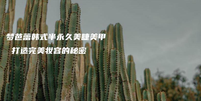 梦芭蕾韩式半永久美睫美甲 打造完美妆容的秘密插图