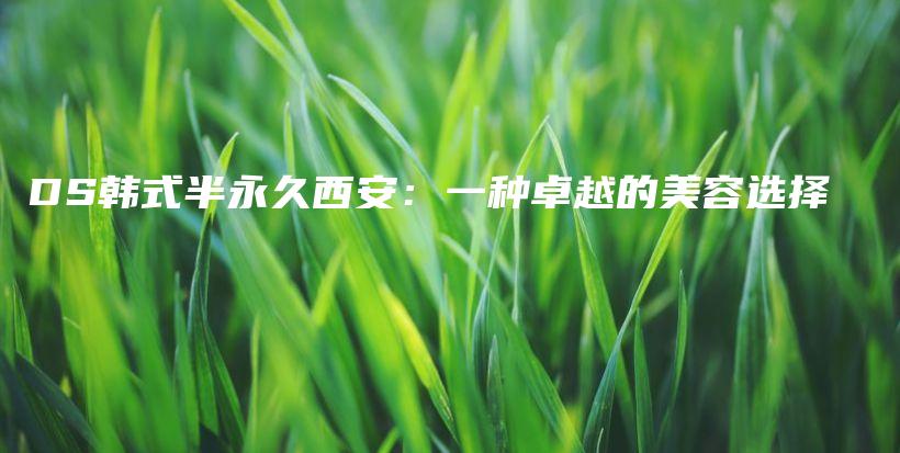 DS韩式半永久西安：一种卓越的美容选择插图