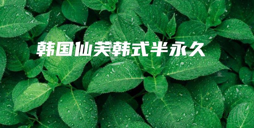 韩国仙芙韩式半永久插图