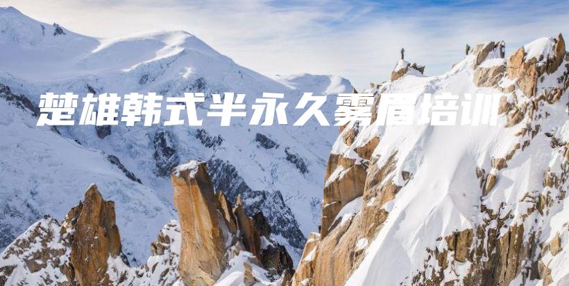 楚雄韩式半永久雾眉培训插图