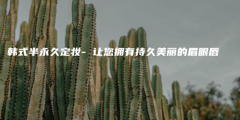 韩式半永久定妆- 让您拥有持久美丽的眉眼唇插图