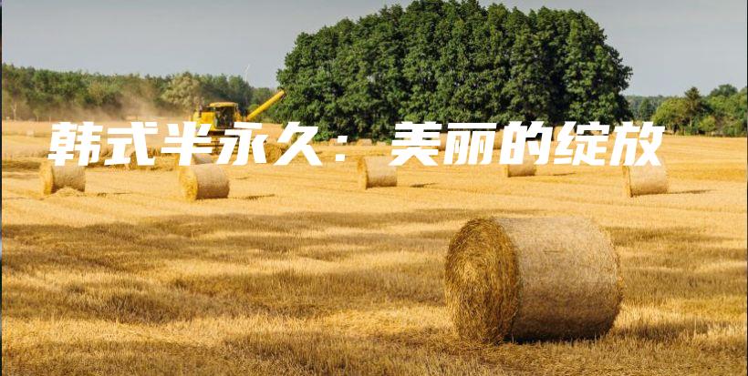 韩式半永久：美丽的绽放插图
