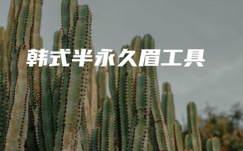 韩式半永久眉工具