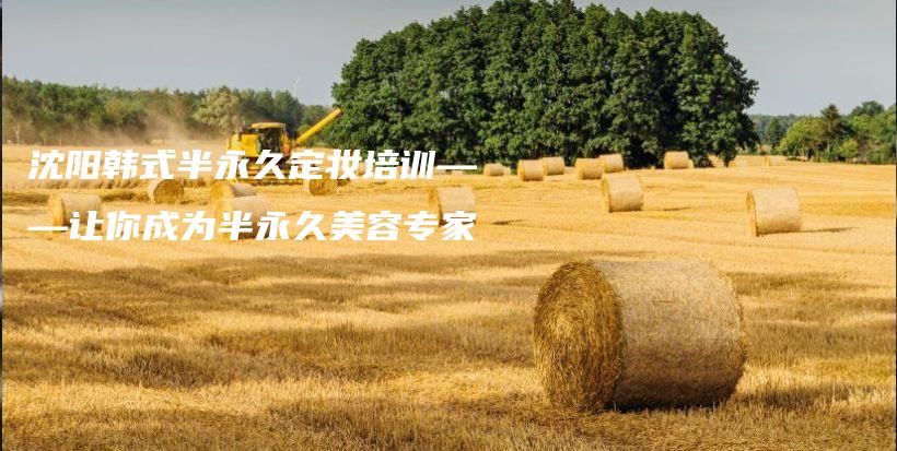沈阳韩式半永久定妆培训——让你成为半永久美容专家插图