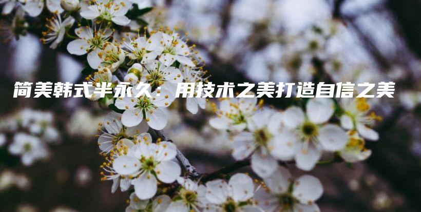 简美韩式半永久：用技术之美打造自信之美插图