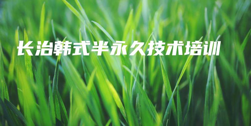 长治韩式半永久技术培训插图
