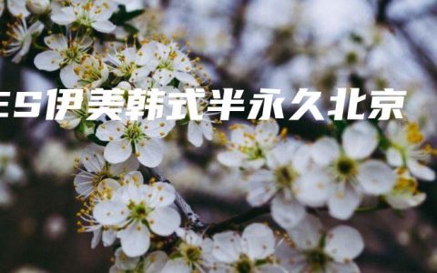 ES伊美韩式半永久北京