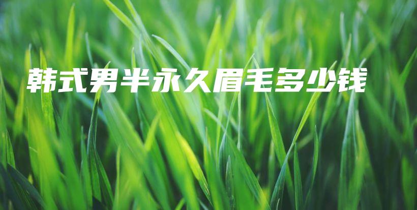 韩式男半永久眉毛多少钱插图