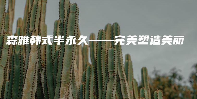 森雅韩式半永久——完美塑造美丽插图