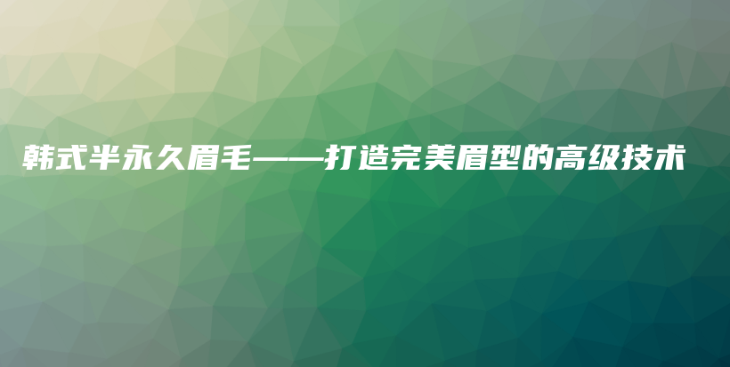 韩式半永久眉毛——打造完美眉型的高级技术插图