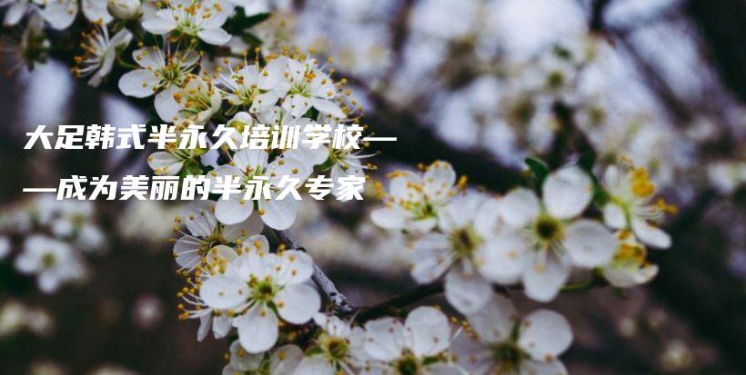 大足韩式半永久培训学校——成为美丽的半永久专家插图